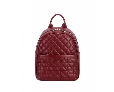 DAVID JONES mugursoma 6824-2
