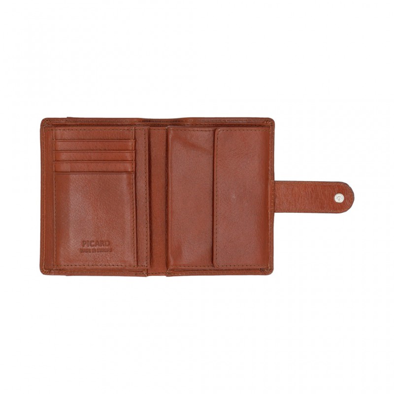 PICARD naudasmaks Buddy1 5546 (2)