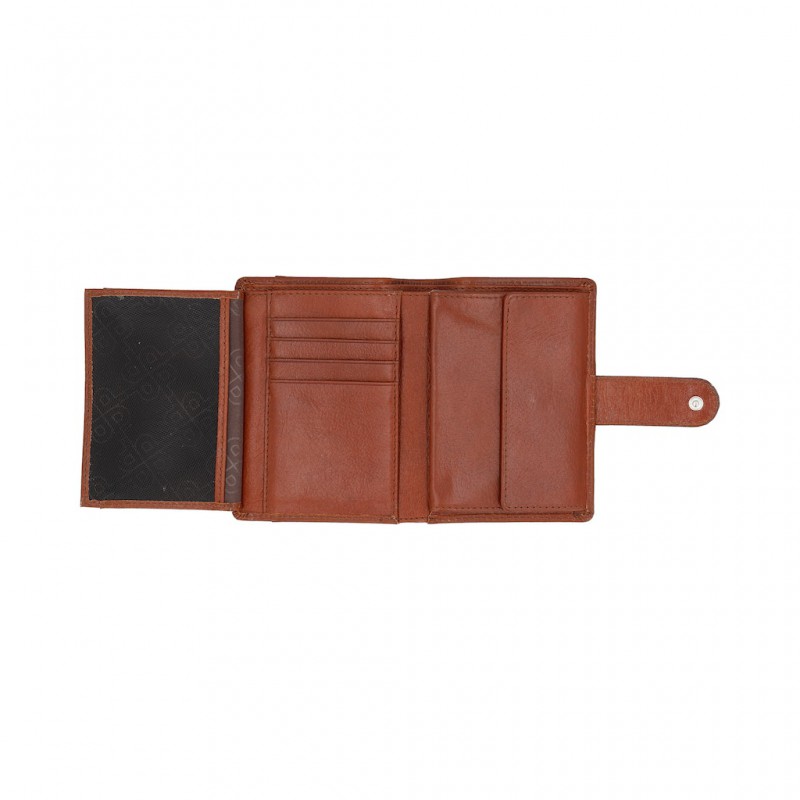 PICARD naudasmaks Buddy1 5546 (3)